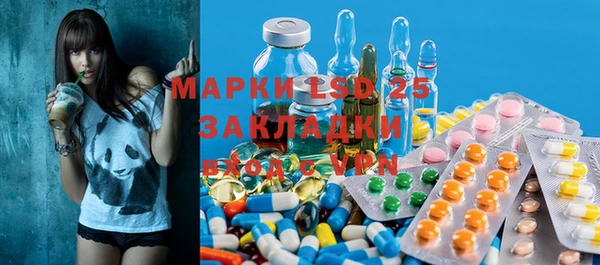 прущий лед Алзамай