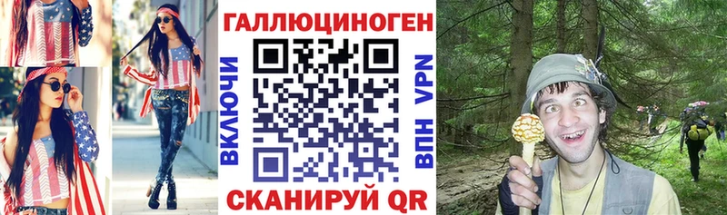 Псилоцибиновые грибы Psilocybine cubensis  Купить  Завитинск 